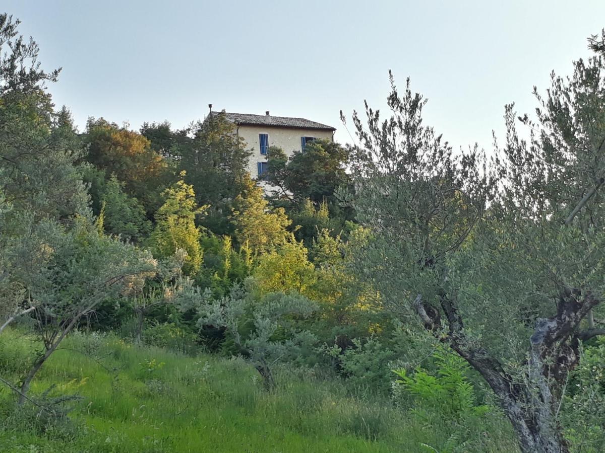 La Casa Dalle Finestre Blu Abbateggio Eksteriør billede