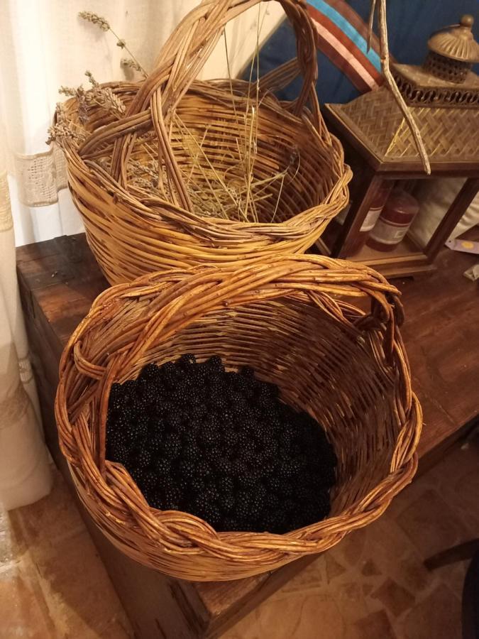 La Casa Dalle Finestre Blu Abbateggio Eksteriør billede